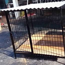 Single dog kennel
