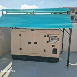 Generator canopy cover
